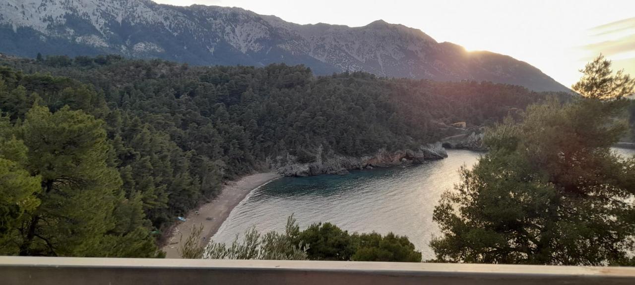 Το Σπίτι Της Ελένης Leilighet Vlachia Eksteriør bilde