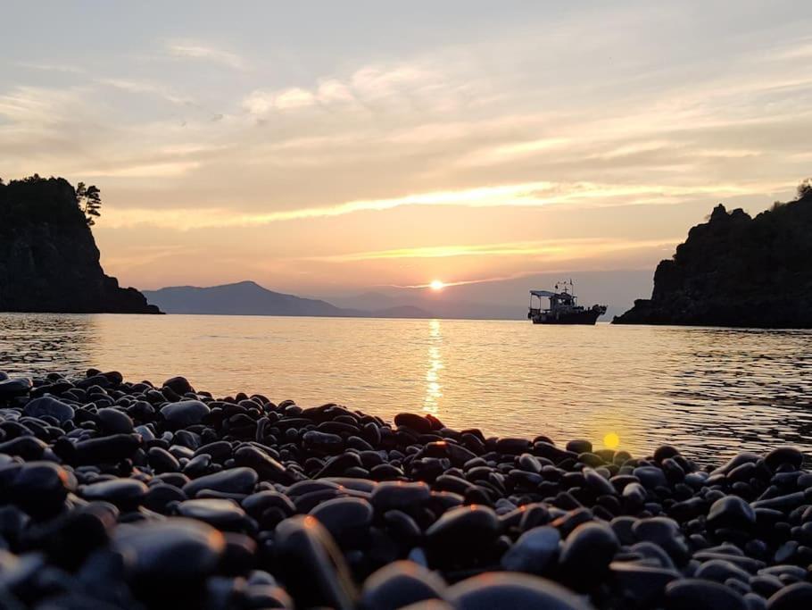Το Σπίτι Της Ελένης Leilighet Vlachia Eksteriør bilde