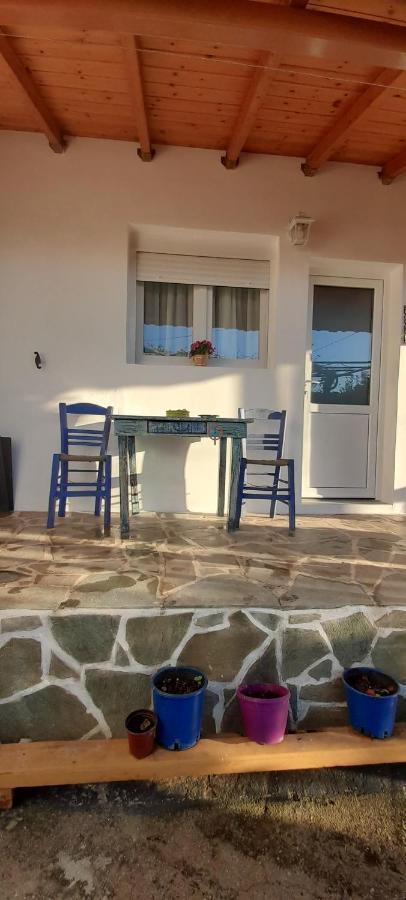 Το Σπίτι Της Ελένης Leilighet Vlachia Eksteriør bilde